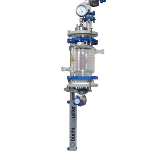 Filtro Nutsch scala Lab cGMP 2 litri, 2 bar 