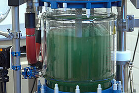 Filter reactors - Buchi FR 10, FR 30 & FR 50