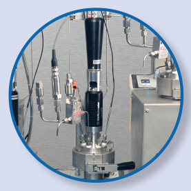 Sistema di chiusura rapida di sicurezza, unità di agitazione affidabile e potente con accoppiamento magnetico